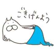 ヒメ日記 2026/01/23 23:40 投稿 ポコ 人妻生レンタル