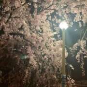 ヒメ日記 2026/04/14 16:40 投稿 ポコ 人妻生レンタル