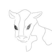 ヒメ日記 2026/02/11 23:37 投稿 加賀美まい ウルトラロイヤル