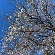 ヒメ日記 2026/03/07 14:14 投稿 小宮 誘惑マル秘ミセス