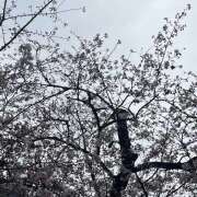 ヒメ日記 2026/03/23 12:12 投稿 小宮 誘惑マル秘ミセス