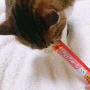 ヒメ日記 2026/02/23 00:17 投稿 結城　なな ソープランド蜜 人妻・美熟女専門店