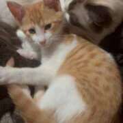 ヒメ日記 2026/02/10 17:39 投稿 こまり IRIS一宮