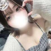 ヒメ日記 2026/02/17 17:18 投稿 こまり IRIS一宮