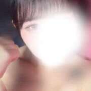 しずく・SP きたよん❕ やまとなでしこ桜組