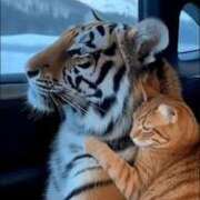 ヒメ日記 2026/01/25 20:32 投稿 りょうこ 錦糸町人妻花壇