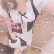 ヒメ日記 2026/02/08 07:19 投稿 すもも One More奥様　蒲田店