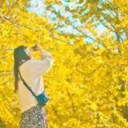 ヒメ日記 2026/01/27 16:00 投稿 みこと 丸妻 横浜本店