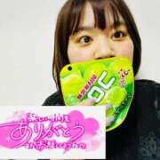 ヒメ日記 2026/01/29 08:20 投稿 みこと 丸妻 横浜本店