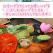 ヒメ日記 2026/01/29 09:09 投稿 みこと 丸妻 横浜本店