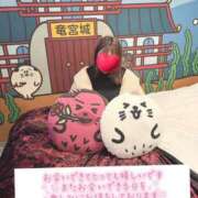 ヒメ日記 2026/02/12 13:45 投稿 みこと 丸妻 横浜本店