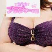 ヒメ日記 2026/02/12 16:35 投稿 みこと 丸妻 横浜本店