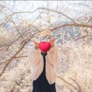 ヒメ日記 2026/02/15 16:51 投稿 みこと 丸妻 横浜本店