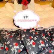 ヒメ日記 2026/02/17 00:57 投稿 みこと 丸妻 横浜本店