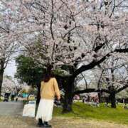 ヒメ日記 2026/04/08 14:14 投稿 みこと 丸妻 横浜本店