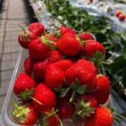 ヒメ日記 2026/04/09 15:48 投稿 みこと 丸妻 横浜本店