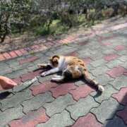 ヒメ日記 2026/01/25 09:39 投稿 村瀬 みこ 人妻セレブ宮殿