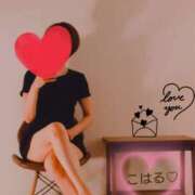 ヒメ日記 2026/04/06 09:59 投稿 七宮こはる ワイフコレクション