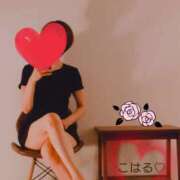 ヒメ日記 2026/04/27 10:01 投稿 七宮こはる ワイフコレクション