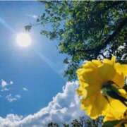 ヒメ日記 2026/02/05 14:37 投稿 優華(ゆか) 人妻出逢い会 百合の園 山の手本店