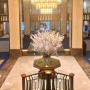 ヒメ日記 2026/03/08 13:57 投稿 優華(ゆか) 人妻出逢い会 百合の園 山の手本店