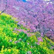 ヒメ日記 2026/03/19 12:37 投稿 優華(ゆか) 人妻出逢い会 百合の園 山の手本店