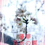 ヒメ日記 2026/03/20 13:37 投稿 優華(ゆか) 人妻出逢い会 百合の園 山の手本店