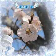 ヒメ日記 2026/03/21 16:26 投稿 優華(ゆか) 人妻出逢い会 百合の園 山の手本店