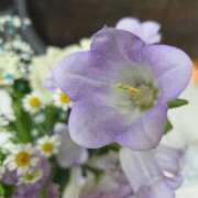 ヒメ日記 2026/04/23 20:57 投稿 優華(ゆか) 人妻出逢い会 百合の園 山の手本店