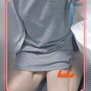 ヒメ日記 2026/02/09 19:02 投稿 木崎果歩 熟女パラダイス池袋店(カサブランカグループ)