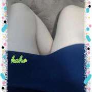 ヒメ日記 2026/04/17 07:20 投稿 木崎果歩 熟女パラダイス池袋店(カサブランカグループ)