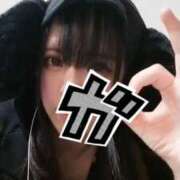 ヒメ日記 2026/01/27 17:27 投稿 二コリ(奥方) 奥様幕府