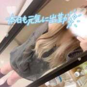 ヒメ日記 2026/02/17 15:43 投稿 れむ(沼津発) 30分3900円！サンキュー静岡店（サンキューグループ）