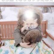 ヒメ日記 2026/02/04 07:48 投稿 月魚　つゆ プルプル札幌性感エステ はんなり