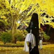 ヒメ日記 2026/02/22 00:03 投稿 月魚　つゆ プルプル札幌性感エステ はんなり