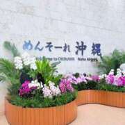 ヒメ日記 2026/09/08 21:03 投稿 月魚　つゆ プルプル札幌性感エステ はんなり