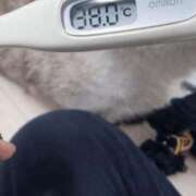 ヒメ日記 2026/01/29 08:11 投稿 なぎさ 11チャンネル