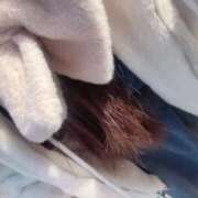 ヒメ日記 2026/01/27 23:40 投稿 もな 白いぽっちゃりさん五反田店