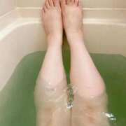 ヒメ日記 2026/01/28 07:49 投稿 もな 白いぽっちゃりさん五反田店