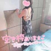 ヒメ日記 2026/02/14 16:45 投稿 東海林めあり OL精薬