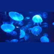 りおな 大丈夫…？ Polaris（ポラリス）