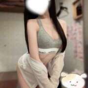 ヒメ日記 2026/02/25 07:15 投稿 春風 うらら プルプルハウス