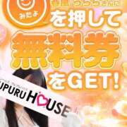 ヒメ日記 2026/03/25 23:01 投稿 春風 うらら プルプルハウス