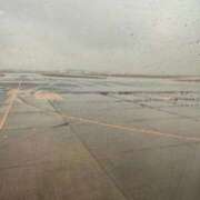 ヒメ日記 2026/01/31 23:08 投稿 月城ももな ウルトラロイヤル