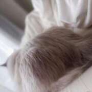 ヒメ日記 2026/03/12 13:23 投稿 玲 VIP