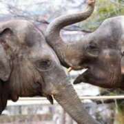 ヒメ日記 2026/03/26 09:48 投稿 荒巻 西川口デッドボール