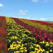 ヒメ日記 2026/01/26 09:03 投稿 きら 熊谷人妻城