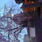 ヒメ日記 2026/03/28 09:22 投稿 片瀬 りお 千葉Grand Mrs.