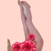 ヒメ日記 2026/02/13 01:00 投稿 辻ゆいか キュア＆マジック