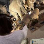 ヒメ日記 2026/03/29 11:56 投稿 柊 おとなのわいせつ倶楽部 本厚木店